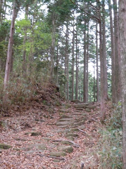 DSCN0250　２キロあたりの山道.JPG